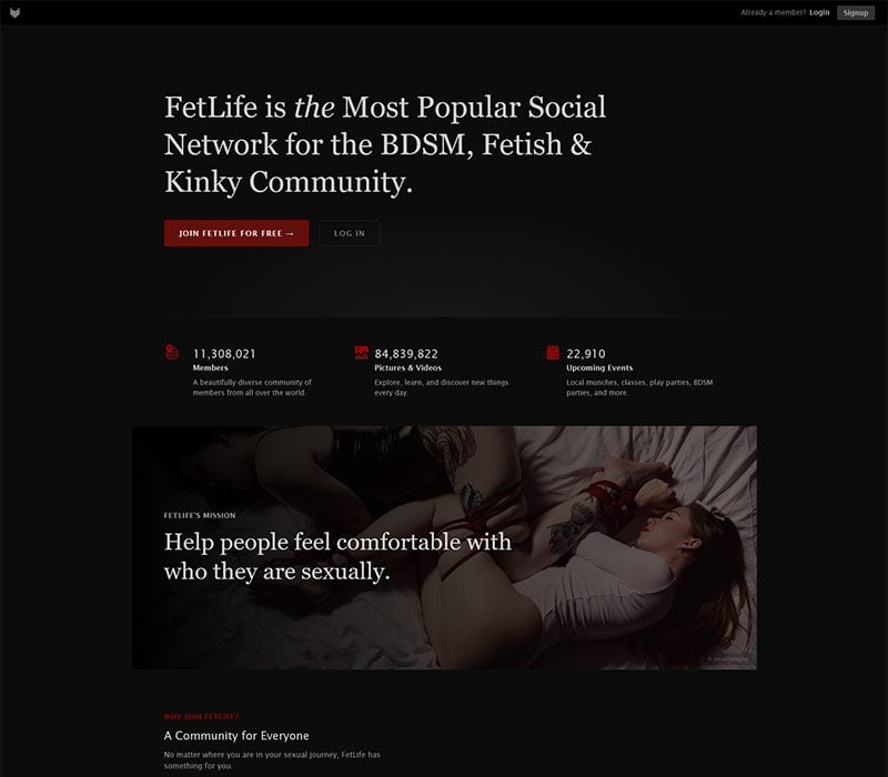 FetLife Review